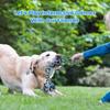 Evcil Köpek Oyuncağı Isırma İpi Çift Düğüm Pamuklu İp Komik Kedi Oyuncağı Isırma Dirençli ve Keskin Dişler Evcil Hayvan Malzemeleri Yavru Köpek Oyuncakları