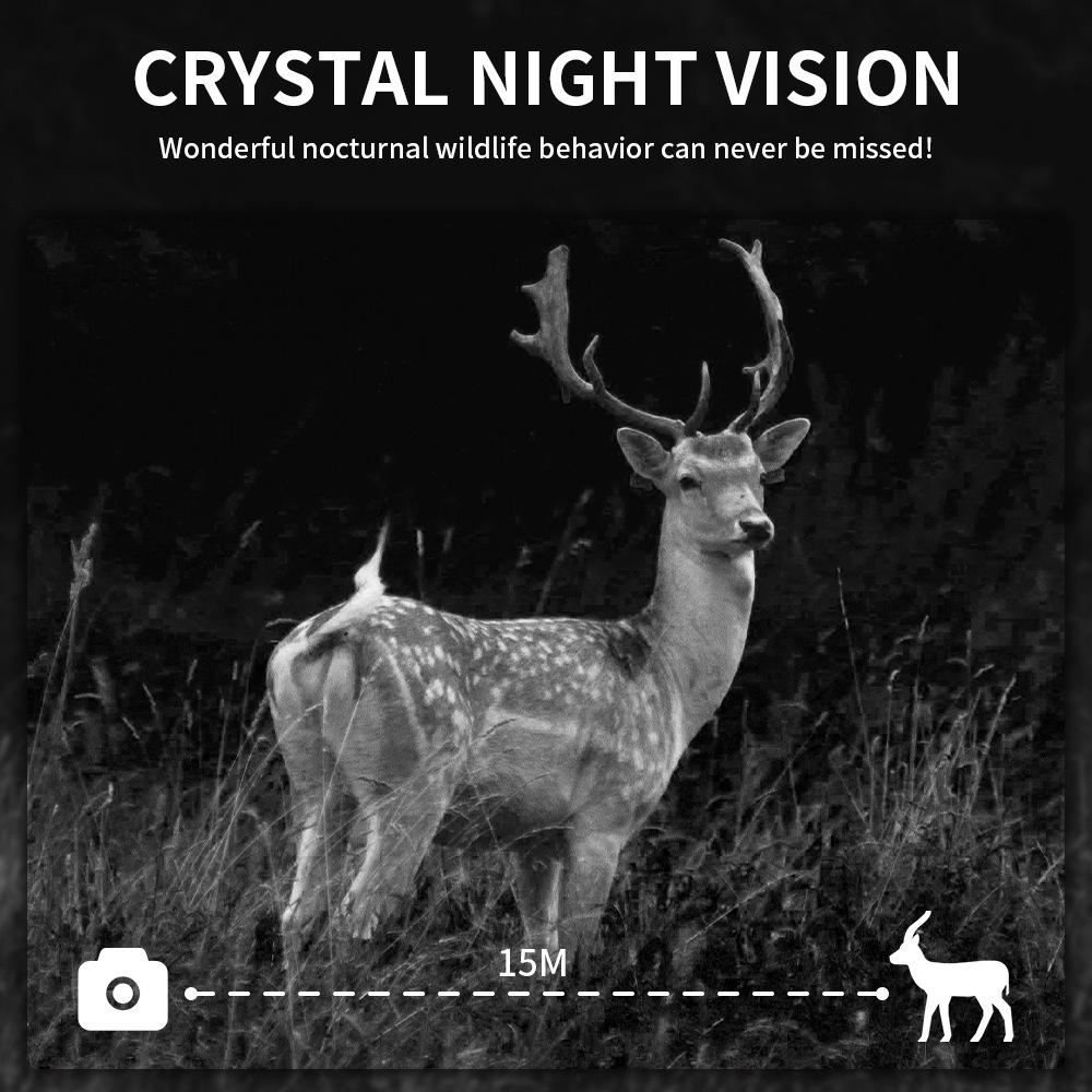 Solar-Powered HD WiFi Hunting Camera: Waterproof, Infrared, Motion Detection.