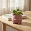 Adornos para Macetas Impresión 3D Lindo Soporte de Planta de Escritorio Duradero PLA Decoración del Hogar para Suculentas