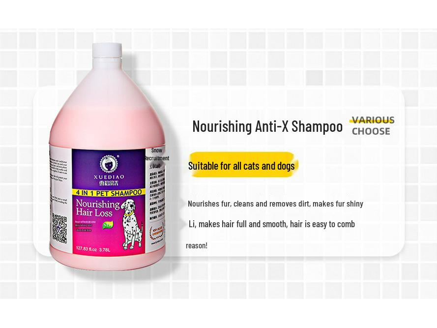 Ferret & Dog Conditioning Bath Gel, Long-Lasting Scent, 3.78L Shampoo Bucket