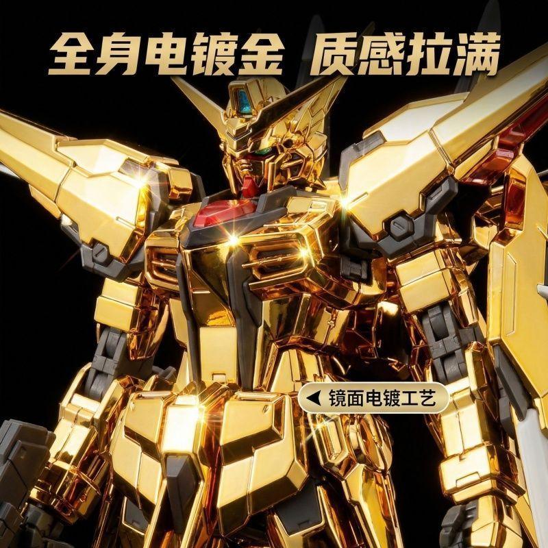 Gaogao Model Rg Seed Dawn Griffin Equipment Plated Assembly Model Kit Plastic Skeleton Kit Action Figure Collection Robot Models