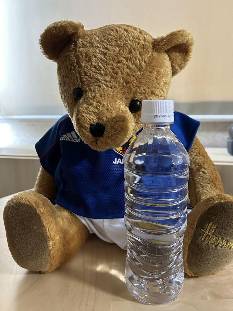 [USED] Harrods Teddy Bear