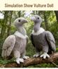 Cross-Border Eagle, Vulture, Pelican, Old Pigeon Plush Toys – Ugly Cute Bird Doll Collection