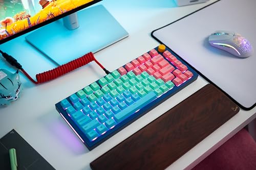 Glorious PBT Pastel Key Caps for Mechanical Keyboards, 114 Keycap Set (GLO-KC-GPBT-P, KB676)