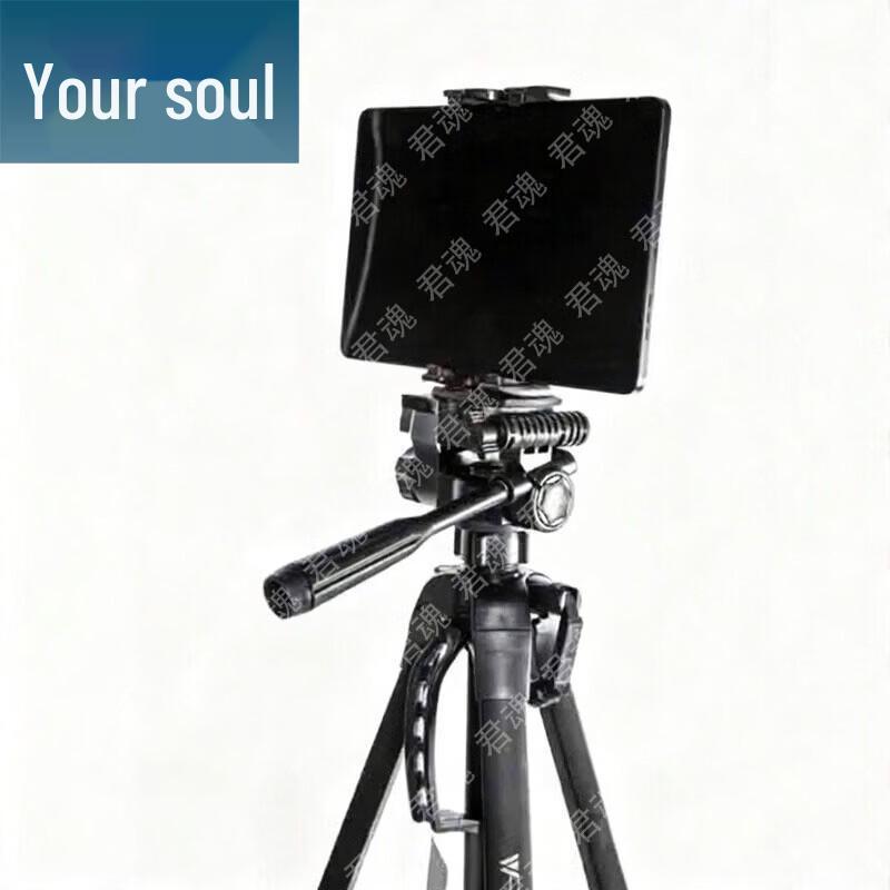 Junhun Lichun-8256 Portable AI Fitness & Assessment System