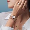 Danielwellingteon Ophelia Mini Rose Gold Minimal Roman Index Women'S Watch