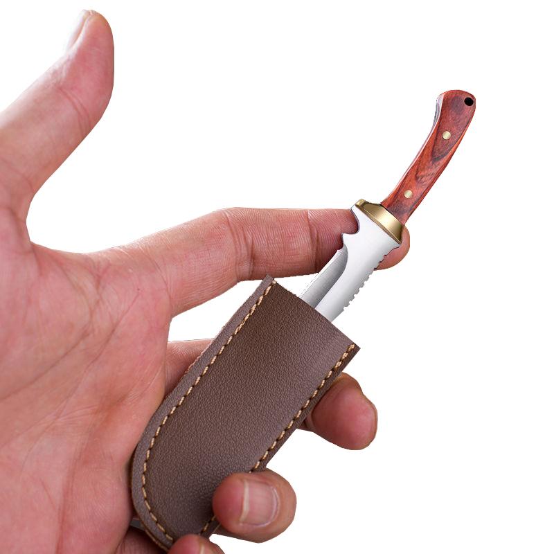 Wood Handle Stainless Steel Tiny Mini Knife Portable Pocket Knife Keychian EDC Multitool Fruit Peeler With Leather Cover Gift