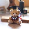 Cute Plush Brown Bear Keychain With Camera & Glasses Backpack Doll Pendants Couple Keyrings Handbag Charms Bag Accessories Set