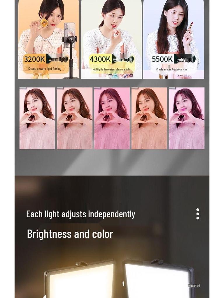 Dual Light No-Shadow Phone Stand: Live Stream Selfie Fill Light for Desktop & Professional Food Photography.