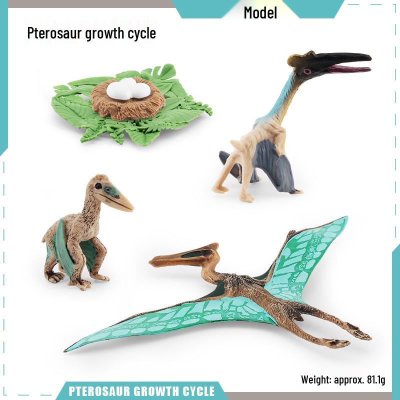 Animal Growth Cycle Models: Chicken, Duck, Goose, Butterfly, Turtle, Frog Montessori Teaching Figurines