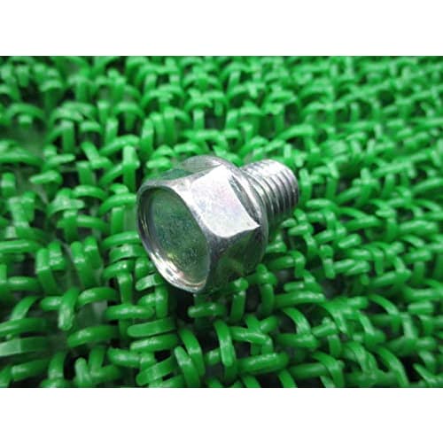

New Honda Genuine Motorcycle Parts Grom Drain Plug Bolt Genuine 92800-12000 Super Cub Fusion VFR400R Zoomer VTR250 CB750 Today CBR900RR VFR800 CB400F