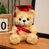Doctor bear doll wearing doctor hat teddy bear graduation commemorative gift plush toy bear doll
