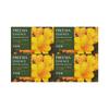 Dubore Freesia Moisture Soap 4 Pack