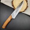 Forged Japanese Chef Knife Kitchen Slicing Meat Cleaver Full Tang Butcher Knife Cooking Sushi Knife with Wood Handle