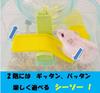 Marukan 2nd Floor Spinning Green for Hamsters S Size