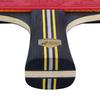 Double Fish K319A Table Tennis Racket Set
