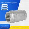 Stainless Steel Vertical Check Valve - One-Way Backflow Preventer with Spring Vacuum Seal