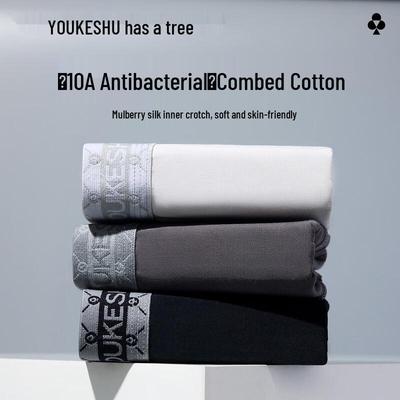 Men's Antibacterial Cotton Boxer Briefs with Mulberry Silk Crotch