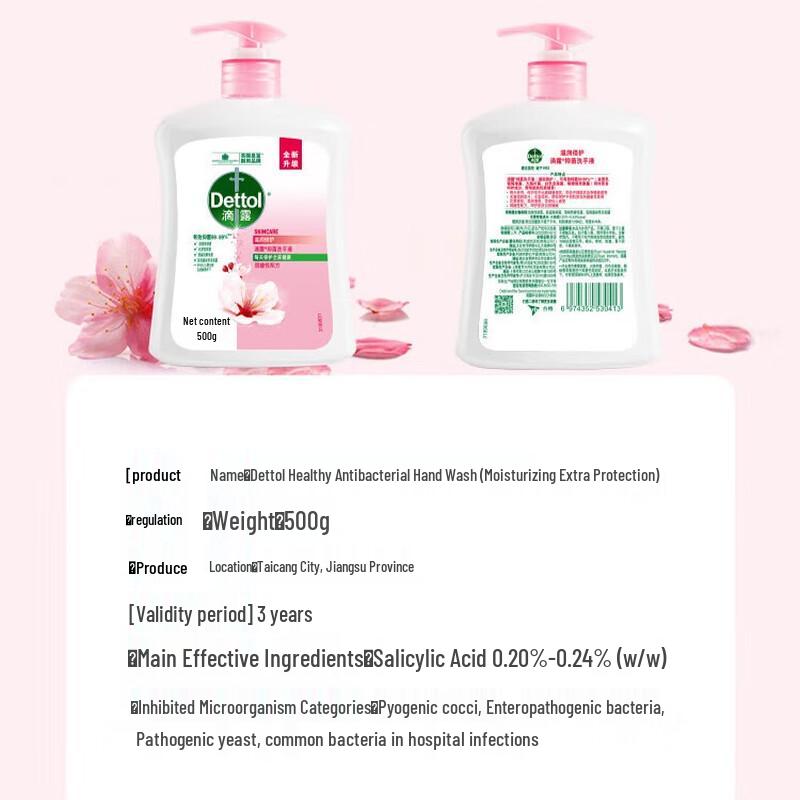 Dettol Moisturizing Antibacterial Hand Wash (2 X 450g)