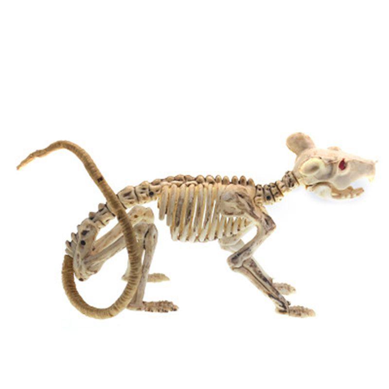 

Realistic Halloween Human Skeleton And Animal Props For Spooky Party Decor Mouse,35*9*6.5cm/13.78*3.54*2.56in