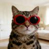 3Pcs Retro Cat Glasses Lightweight Oval Frame Pet Sunglasses Stylish Pet Shades for Cats Small Dogs Photo Prop
