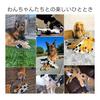 Nocciola Animal Dog Toys Pet Toys, No Filling, Makes Sounds, Small Dogs, Medium Dogs, Large Dogs, Dog Toys, Toy Set, Stuffed Animals, Sturdy, Play,
