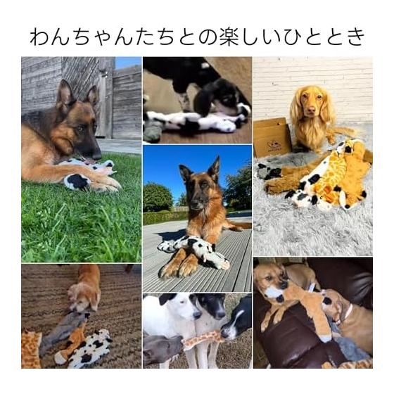 Nocciola Animal Dog Toys Pet Toys, No Filling, Makes Sounds, Small Dogs, Medium Dogs, Large Dogs, Dog Toys, Toy Set, Stuffed Animals, Sturdy, Play,
