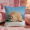 SSEALOOKs Cute Anime Cushion Cover Premium Comfort Reversible Pillow Cove Two In One Design For Any Room  Car Interior