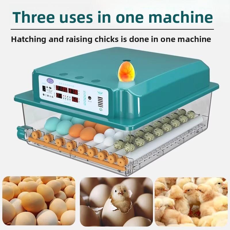 Automatic Smart Egg Incubator Full Digital Control for Chicken/Quail Eggs Compact Startup Incubator Poultry Breeding Equipment