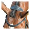 Collegiate Comfitec Leather Horse Bridle