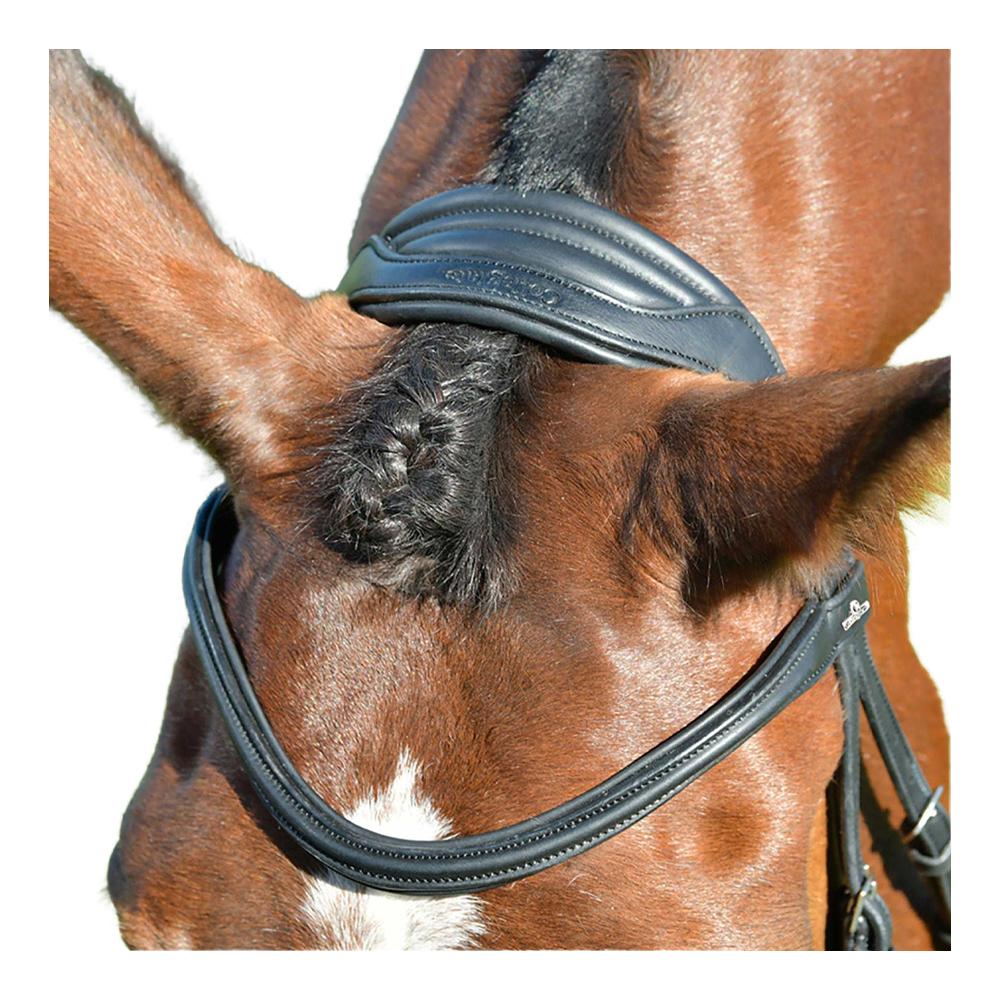 Collegiate Comfitec Leather Horse Bridle