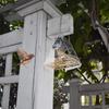 Bird Feeder Clear Acrylic Hanging Wild Bird Feeder Seed Tray for Indoor and Outdoor Garden