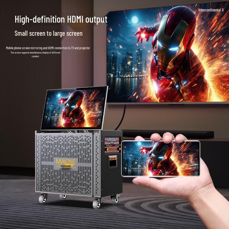 MALONE Portable KTV Speaker with 19.5-inch Display CN Plug (adapter Included)