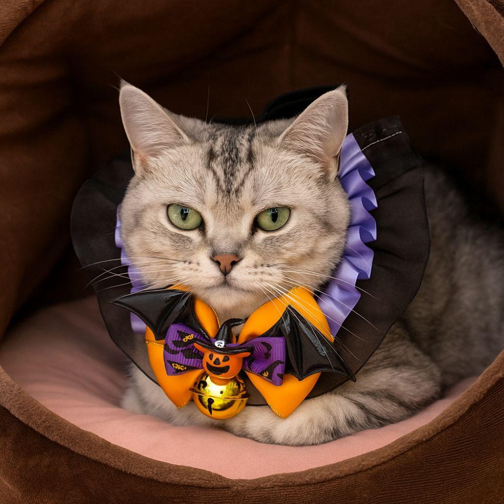 Soft Puppy Bat Bow Tie Lace Cat Cosplay Bow Tie Dog Pumpkin Bow Collar for Cats and Dogs