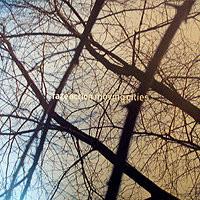 12inch Record FAZE ACTION - Moving Cities NUX146 Nuphonic 2000 UK Dance & Electronica Used