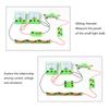 Physics Electrophysics Experiment Set Science Experiment Kits Building Circuits for Classroom Science Experiments