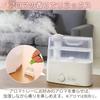 Iris Ohyama Ultrasonic Hybrid Aromatherapy Humidifier, Compatible, Clear, UHM-450D