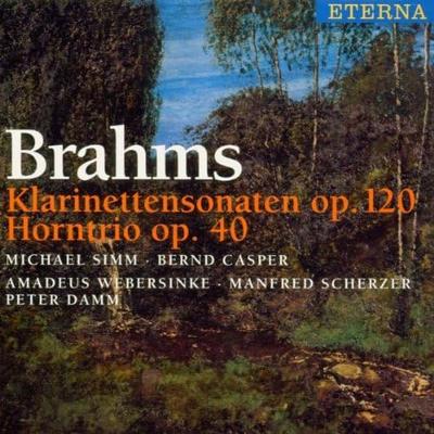 CD BRAHMS, SIMM, CASPER, WEBERSINKE; S - Sonate für Klarinette & Klavier  0031852BC Japan Klassisch Gebraucht