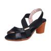 Simple medium heel sandals women's summer new fashionable solid color single shoes fish mouth foot thick heel high heel sandals