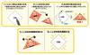 Hanayama Triangular Lottery Set of 1000 Easily Create Your Own Original Triangular Lottery - Tickets!