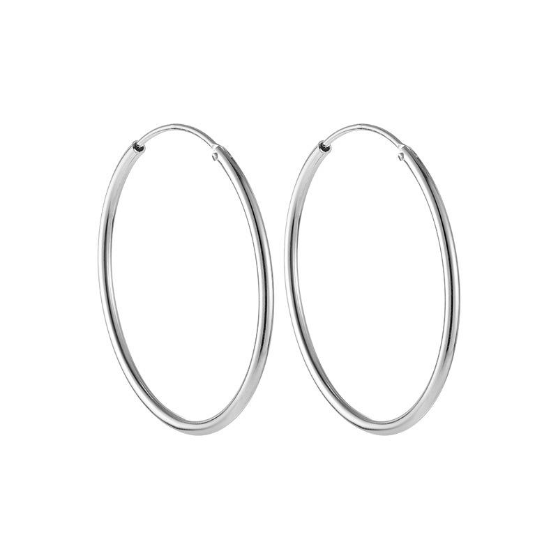 S925 Sterling Zilver Ronde Holle Buis Oorbellen – Eenvoudig, Veelzijdig, High-End Kraakbeen Sieraden voor Vrouwen