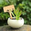 5/10/20/30/50PCS Bamboo Plant Labels Vegetable Garden Markers T-Type Plant Tags for Plants