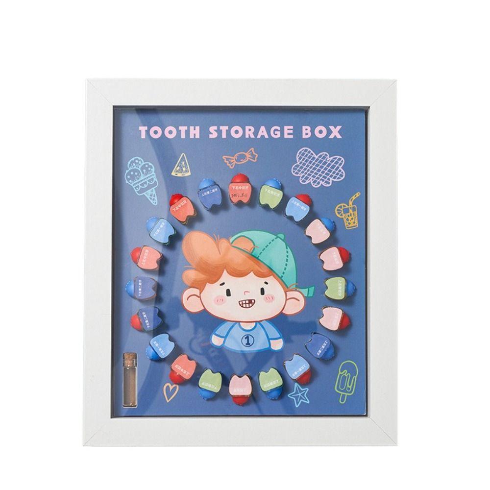 

Infant Souvenir Case Baby Tooth Box Tooth Collection Case Tooth Container Teeth Storage Box B transparent teeth
