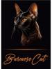 Cats Breeds Balinese Chausie Cheetoh Cat Portrait Poster Canvas Painting Abstract Animal Pet Wall Picture Living Room Home Decor