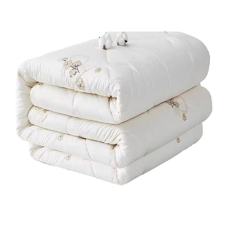 Oeny Xinjiang Cotton Quilt