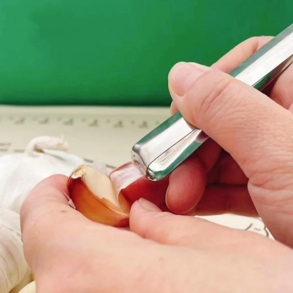 Garlic Peeler Tool 1PC, Fishbone Design Quick Peel Skin Remover - Heavy Duty Kitchen Pliers for Garlic/Shallot/Chestnut