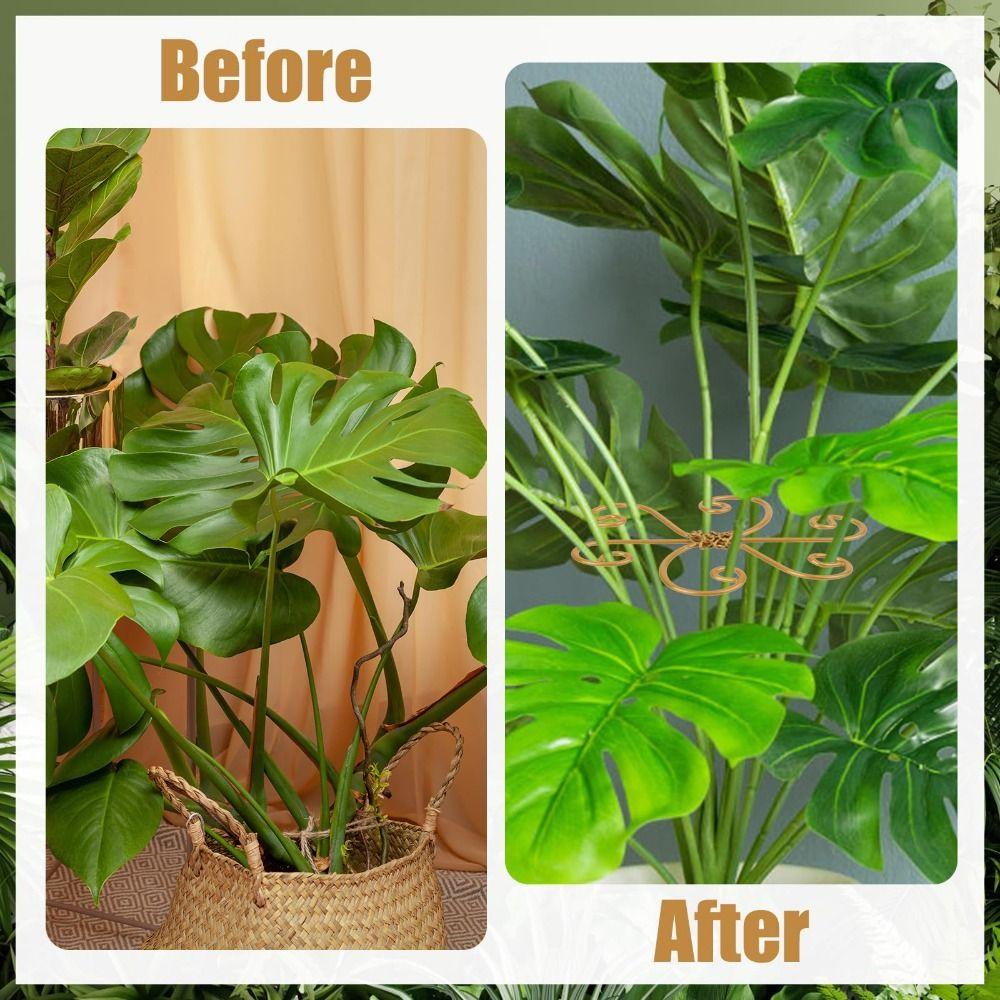 Iron Plant Stem Support Heart Shape Indoor Plants Climbing Rack Hook  Indoor Outdoor Plants