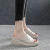 Slope Heel Thick Bottom One-word Drag Women 2025 New Summer Fashion Versatile Non-slip Soft Bottom High Heel Outer Wear Cool Slippers Women