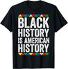 Black History Is American History Shirt Black Month Pride T-Shirt