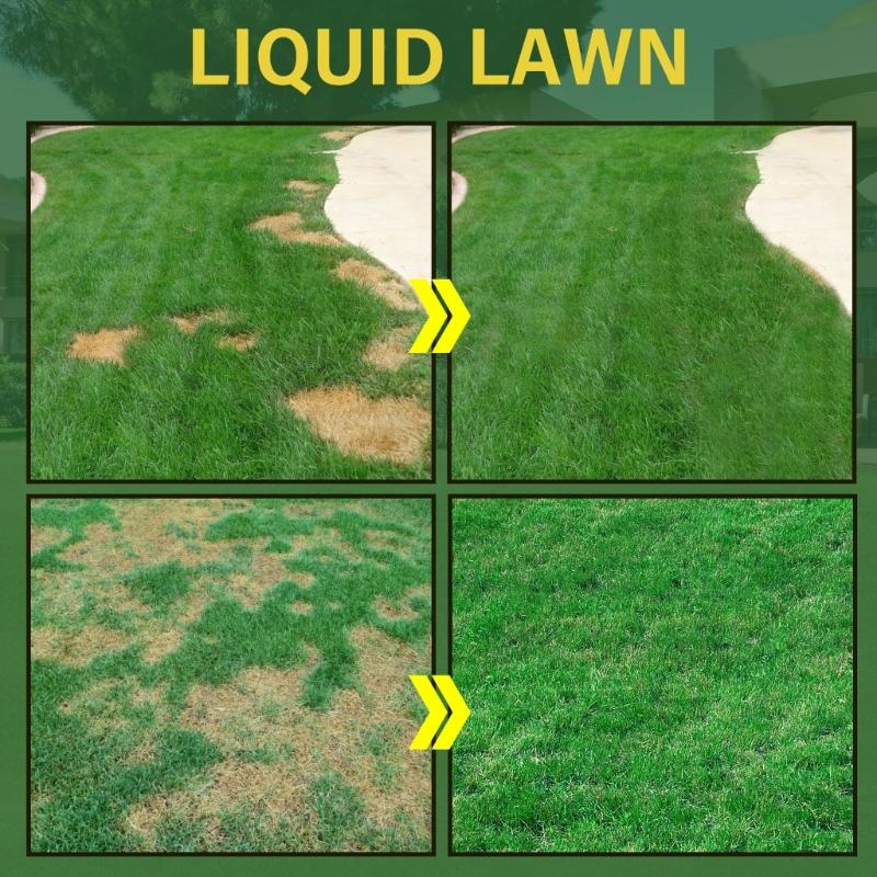 59ml Green Grass Lawn Spray Household  System Liquid Spray  Lawn Care Grass Nutrient Solution Fertilizer